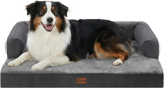 Orthopedic Washable Dog Bed for Medium Dogs, 35x22in, Dark Grey | Orthopedic Foam Relieves Joint Pressure, Bolsters Supports Head And Neck, Washable Cover, Non-Slip Bottom by CasaPaw