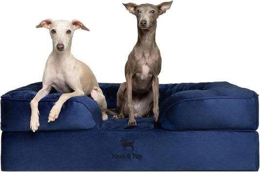 NOAH & PAW Large Dog Bed, 35x25x11 Inch, Orthopedic Dog Beds, Eggshell Memory Foam Infused with Cooling Gel, Inner Cover, Water Resistant, Machine Washable (Velvet Sofa Collection) by NoahPaw