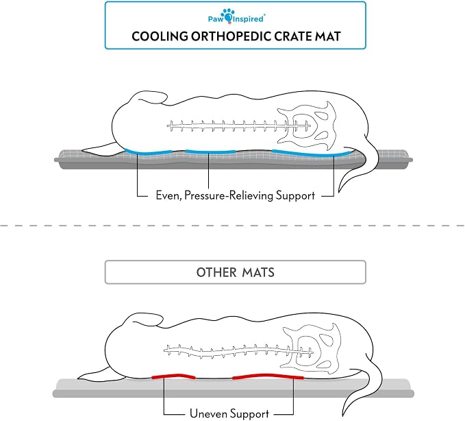 Paw Inspired Cooling Orthopedic Crate Pad, 23x17 Inch, Gray | XS/Small Size Washable Memory Foam Mat for Dogs and Cats, Fits 24 Inch Kennel - Image 3