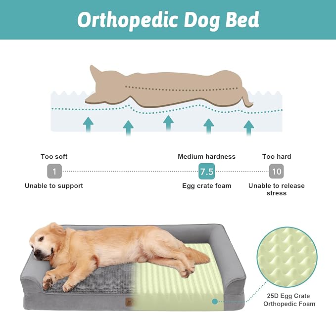COZY KISS Orthopedic Dog Bed for Extra Large Dog, XL Pet Sofa, Bolster Foam Bed with Sides, Non-Slip and Egg-Crate Big Dog Couch Bed with Washable Removable Cover, U-Shaped, 42x30x7.5 inch, Grey - Image 2
