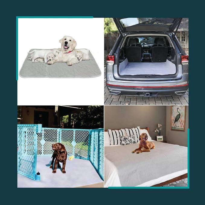 rocket & rex Premium XXL Non-Slip Washable Dog Playpen Mat (72"x72") | For whelping, potty training & travel. OEKO-TEX certified, chemical-free. - Image 3