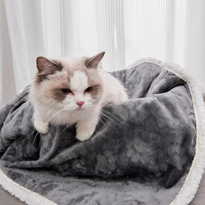 Qeils Pet Blankets for Cats - Waterproof Cat Blanket Washable - Sherpa Fleece Puppy Blanket, Soft Plush Reversible Throw Protector for Bed Couch Car Sofa, 25"X30", Dark Grey - Image 5