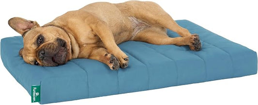 Furhaven Orthopedic Dog Bed – Puffy Quilted Foam Mattress with Removable Washable Cover, Soft & Supportive for Kennels & Crates - Medium, Lagoon by FurHaven