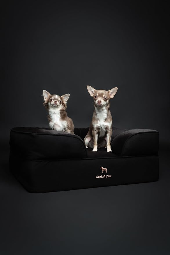 NOAH & PAW Dog Bed, 28x23x11 Inch, Orthopedic Dog Beds for Medium Size Pets, Eggshell Memory Foam Infused with Cooling Gel, Inner Cover, Water Resistant, Machine Washable (Denim Sofa Collection) - Image 9