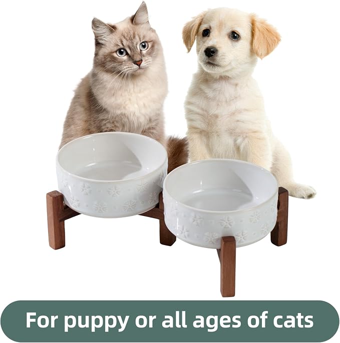 Havniva Elevated Dog Bowls, Ceramic Raised Dog Bowl with Stand | 5.1” Dog Food Bowls Elevated, Dog Food and Water Bowl Set, Non-Slip Acacia Wood Stand, Small Dogs Bowl, 1.6 Cups 13.5 oz - Image 5