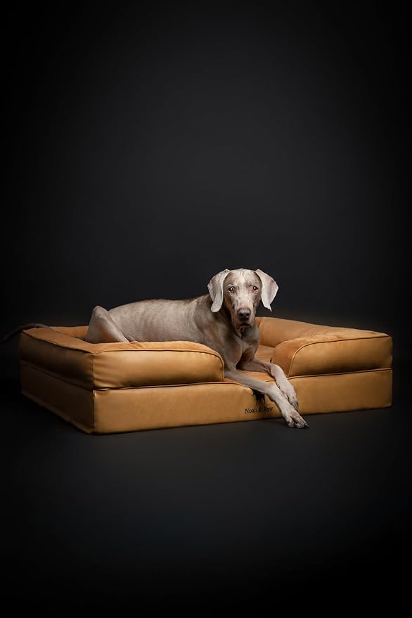 NOAH & PAW XL Dog Bed, 45x35x11 Inch, Orthopedic Large Dog Beds, Eggshell Memory Foam Infused with Cooling Gel, Inner Cover, Water Resistant, Machine Washable (Faux Leather) - Image 6