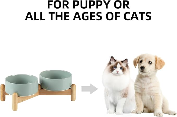 Havniva Elevated Dog Bowls Ceramic Dog Bowls with Stand, Dog Food Bowl | 5.1” Raised Dog Bowls with Non-Slip Wood Stand, Dog Food and Water Bowl Set, Double Dog Feeding Bowls for Small Dogs - Image 4