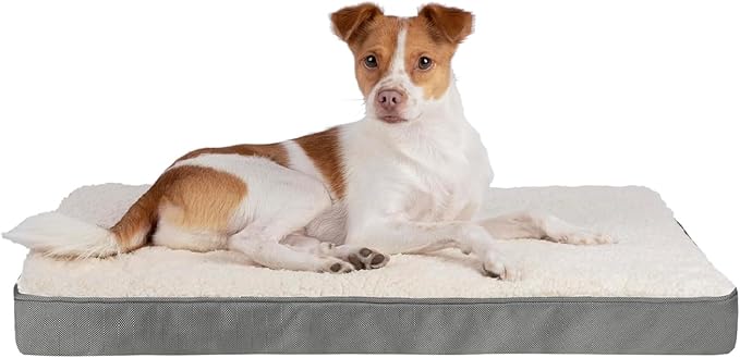 Best Pet Supplies Orthopedic Dog Bed with Memory Foam, Washable Dog Crate Mat for Small, Medium & Large Dogs, Thick Mattress for Crates, Kennels or Floor, Waterproof Pet Bed - Gray, 35 x 22 x 4 by BestPetSuppliesLLC