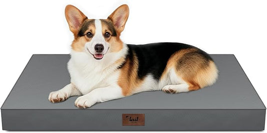 Outdoor Waterproof Orthopedic Dog Bed for Large Dogs | Egg Crate Foam for Joint Support, TPU Waterproof Layer, Machine Washable 1680D Oxford Cover, 36 x 27 Inch, Up to 65 lbs by TailStories