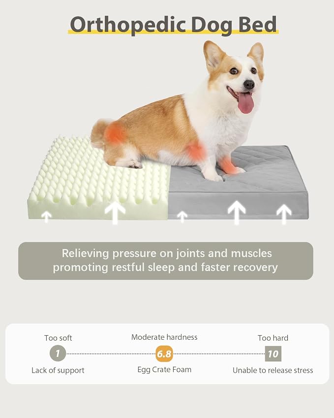 NUPIDA Orthopedic Dog Beds for Small Dogs Waterproof with Removable Washable Cover and Non-Slip Bottom, Quilting Dog Bed for Crate, 23x17 Inch, Light Gray - Image 5