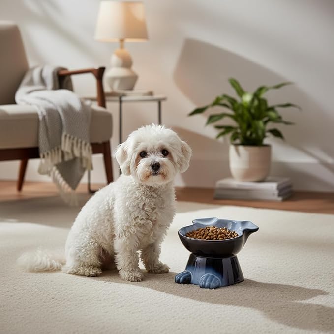 Nihow Elevated Ceramic Dog Bowls: 6.5 Inch Raised Dog Bowl for Food & Water | Food Safe Bowl for Medium/Small Size Dogs - Gray Puppy Bowls for Protecting Pet's Spine(1 PC) - Image 7