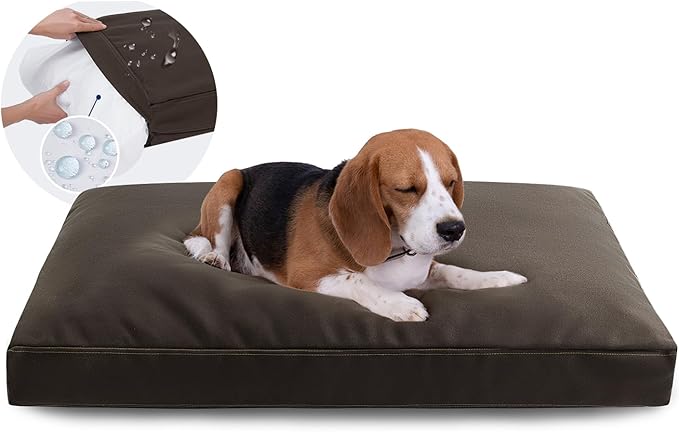 Miguel Durable Canvas Dog Bed for Medium Large Pet Outdoor Dogs Pad 14 Ounce Canvas Waterproof Pet Pillow with Removable Washable Cover, 35 x 25 inch, Brown by Miguel