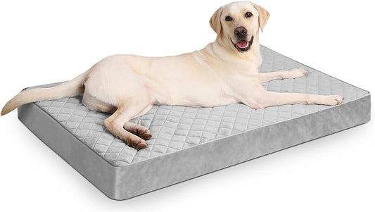 NUPIDA Jumbo Dog Bed for Extra Large Sized Dog Orthopedic Pet Bed with Removable Washable Cover and Non-Slip Bottom, 53x36 Inch, Light Gray by NUPIDAPet%E2%80%99sHome
