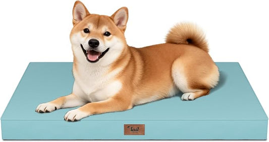 Outdoor Waterproof Orthopedic Dog Bed for Medium Size Dogs | Egg Crate Foam for Joint Support, Fits 36x23 Crates, TPU Waterproof Layer, Machine Washable 1680D Oxford Cover, Up to 50 lbs by TailStories