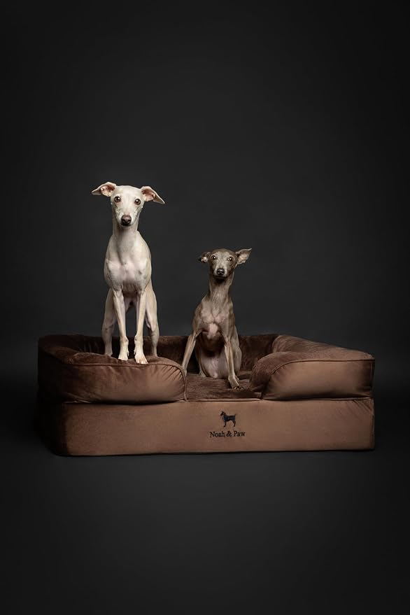 NOAH & PAW Large Dog Bed, 35x25x11 Inch, Orthopedic Dog Beds, Eggshell Memory Foam Infused with Cooling Gel, Inner Cover, Water Resistant, Machine Washable (Velvet Sofa Collection) - Image 6