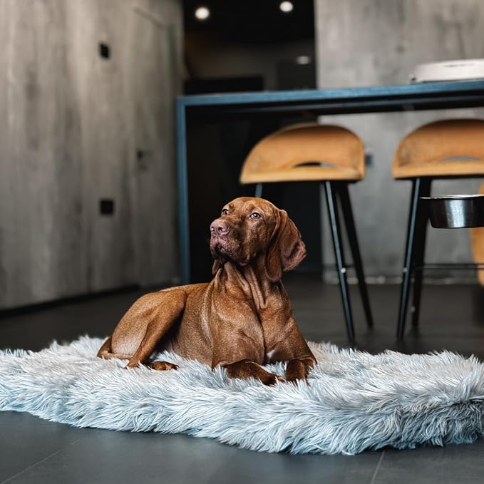 Faux Fur Orthopedic Dog Bed, Memory Foam, Grey 50"x30" | Plush Washable Dog Rug with Waterproof Machine Washable Cover, Calming for Anxious Senior Dogs, Relieves Joints - Image 2