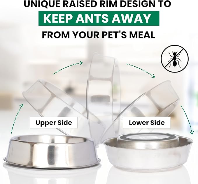 Iconic Pet 2 Pack of 1 Cup Stainless Steel Non Skid Pet Bowls for Dog or Cat with Raised Rim Dishwasher Safe Pet Food and Water Bowls - 8 Oz - Image 6