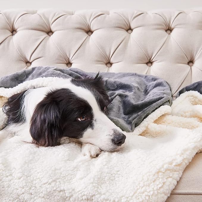 Qeils Waterproof Blanket for Bed, Dog Blankets for Large Dogs, Waterproof Cat Blanket Washable, Soft Sherpa Fleece Puppy Blanket, Reversible Throw Protector for Couch Car, 50"X60", Dark Grey - Image 5