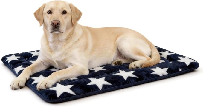 Washable Dog Bed Mat With Anti-Slip Bottom, Deluxe Plush Memory Foam Crate Pad & Waterproof Outdoor Kennel Mat For Dogs & Cats-Durable Crates Beds, Large Medium Small Puppy Size 36" x 24",Blue by Unknown