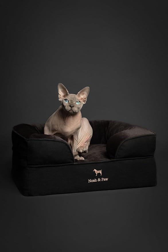 NOAH & PAW Small Dog Bed, 20x15x8 Inch, Cat Bed for Indoor Cats, Orthopedic Eggshell Memory Foam Infused with Cooling Gel, Water Resistant Inner Cover Machine Washable (Denim Collection) - Image 3