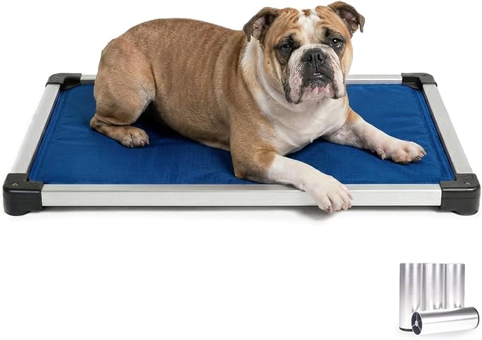 K9 Ballistics Chew Proof Armored Crate Bed 35 x 22 for Medium Dogs - Virtually Indestructible Pad, Preassembled, Withstands Aggressive Chewers - Fits 36” Wire Crates, Blue Quartz by K9Ballistics