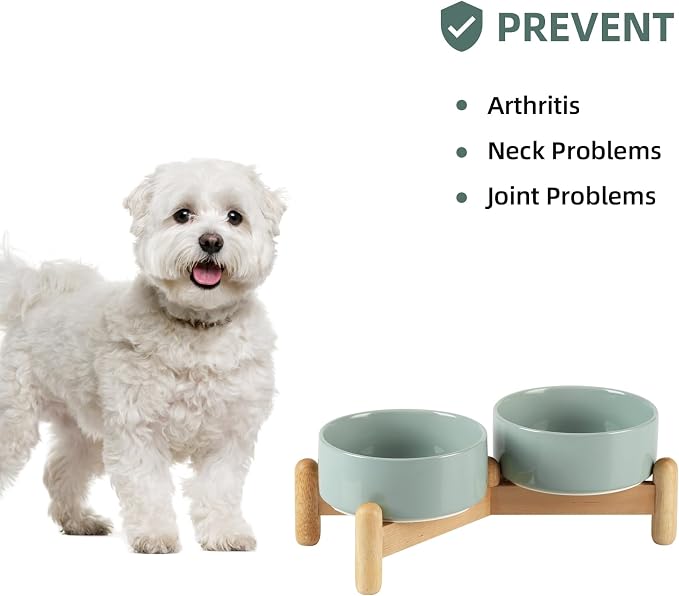 Havniva Elevated Dog Bowls Ceramic Dog Bowls with Stand, Dog Food Bowl | 5.1” Raised Dog Bowls with Non-Slip Wood Stand, Dog Food and Water Bowl Set, Double Dog Feeding Bowls for Small Dogs - Image 5