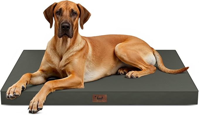 Jumbo Waterproof Orthopedic Dog Bed for Extra Large Dogs | Egg Crate Foam, Pressure Relief, Fits 54x37 Crates, Machine Washable 1680D Oxford Cover, Indoor & Outdoor Use, Up to 150 lbs by TailStories