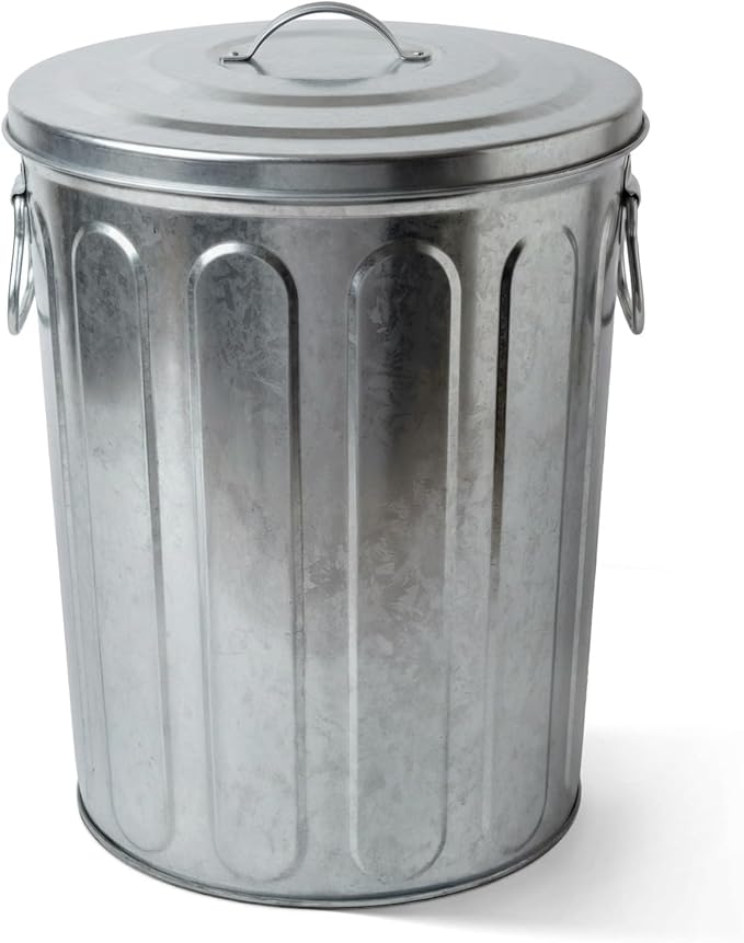Plexon 5 Gallon Small Metal Trash Can with Lid Outdoor Galvanized Bucket with Lid 5 Gal Fireplace Ash Bucket for Wood Stove Storage Can for Dog Food Bird Seed Storage Container by Plexon