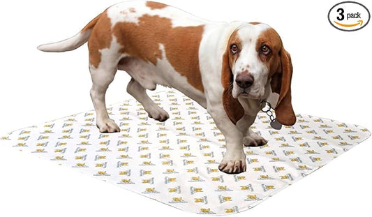 PoochPad Original Washable, Reusable Dog Potty Pad, Medium, 3 Pack | Super Absorbent Puppy Pad, Leakproof Design, Unmatched Odor Control, Easy to Clean, Dog & Puppy Pee Pad for Potty Training by RevivalAnimalHealth