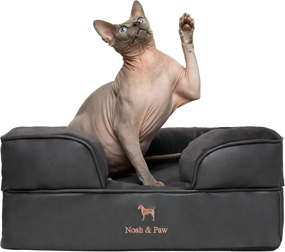 NOAH & PAW Small Dog Bed, 20x15x8 Inch, Cat Bed for Indoor Cats, Orthopedic Eggshell Memory Foam Infused with Cooling Gel, Water Resistant Inner Cover Machine Washable (Faux Leather) by NoahPaw
