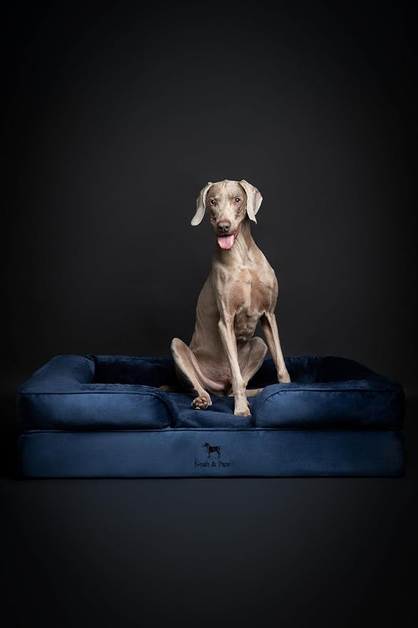 NOAH & PAW XL Dog Bed, 45x35x11 Inch, Orthopedic Large Dog Beds, Eggshell Memory Foam Infused with Cooling Gel, Inner Cover, Water Resistant, Machine Washable (Velvet Sofa Collection) - Image 6