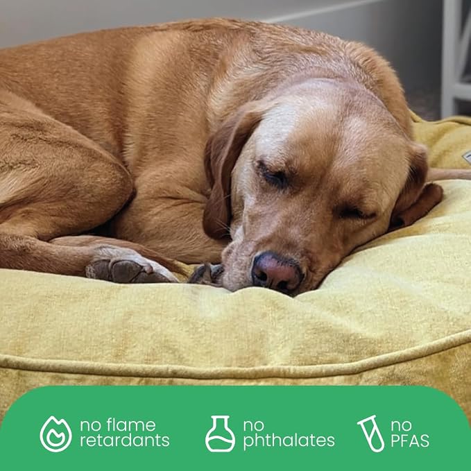 Molly Mutt Elysium Dog Bed Duvet Cover, GOTS-Certified 100% Cotton Canvas Cover for Dog, Puppy, or Cat Bed, Durable, Washable, and Free of Harmful Chemicals, Huge, 36"x45"x5", Yellow - Image 6