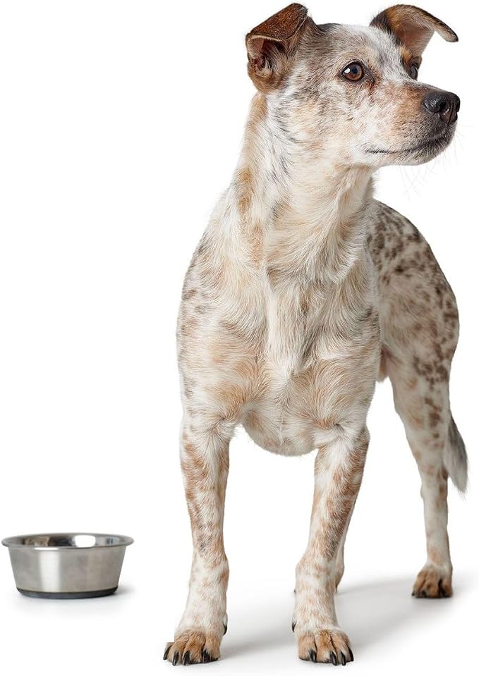Hunter Stainless Steel Dog Bowl - 2700 ML, Non-Slip, Dishwasher Safe - Image 4