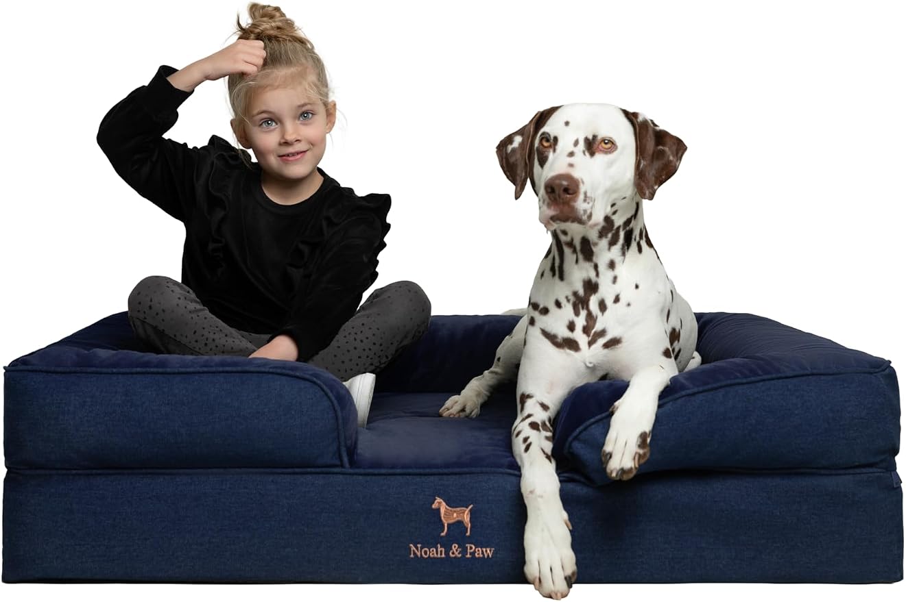 NOAH & PAW XL Dog Bed, 45x35x11 Inch, Orthopedic Large Dog Beds, Eggshell Memory Foam Infused with Cooling Gel, Inner Cover, Water Resistant, Machine Washable (Denim Sofa Collection) by NoahPaw