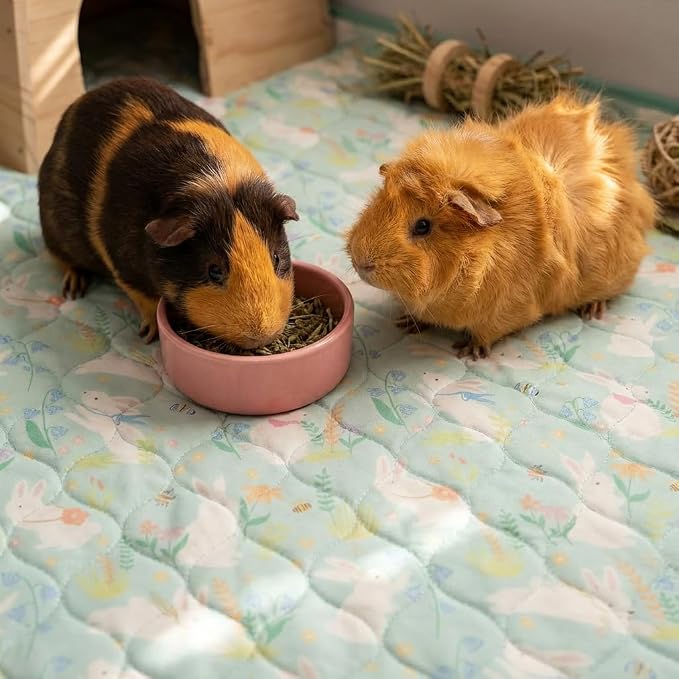 Guinea Pig Cage Liners, 59x31in 2 Pack Washable Guinea Pig Bedding, Waterproof Reusable & Anti Slip, Super Absorbent Guinea Pig Pee Pad for Small Animal, Rabbit, Bunny, Fit for C&C Cage, Green - Image 5