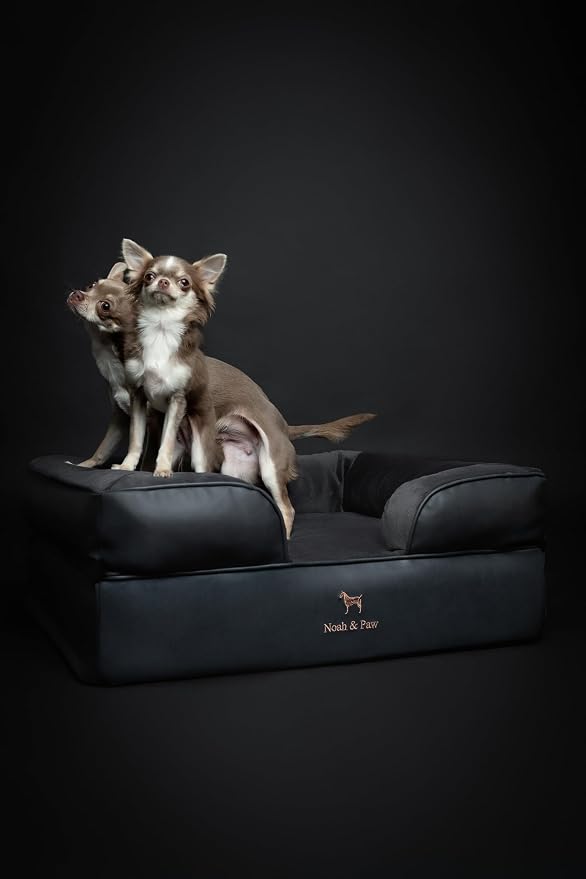 NOAH & PAW Dog Bed, 28x23x11 Inch, Orthopedic Dog Beds for Medium Size Pets, Eggshell Memory Foam Infused with Cooling Gel, Inner Cover, Water Resistant, Machine Washable (Faux Leather) - Image 3