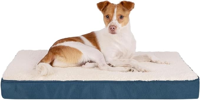 Best Pet Supplies Orthopedic Dog Bed with Memory Foam, Washable Dog Crate Mat for Small, Medium & Large Dogs, Thick Mattress for Crates, Kennels or Floor, Waterproof Pet Bed - Blue, 24 x 16 x 3 by BestPetSuppliesLLC