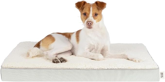 Best Pet Supplies Orthopedic Dog Bed with Memory Foam, Washable Dog Crate Mat for Small, Medium & Large Dogs, Thick Mattress for Crates, Kennels or Floor, Waterproof Pet Bed - Beige, 41 x 29 x 4 by BestPetSuppliesLLC