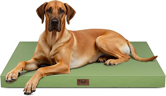 Jumbo Waterproof Orthopedic Dog Bed for Extra Large Dogs | Egg Crate Foam, Pressure Relief, Fits 54x37 Crates, Machine Washable 1680D Oxford Cover, Indoor & Outdoor Use, Up to 150 lbs by TailStories