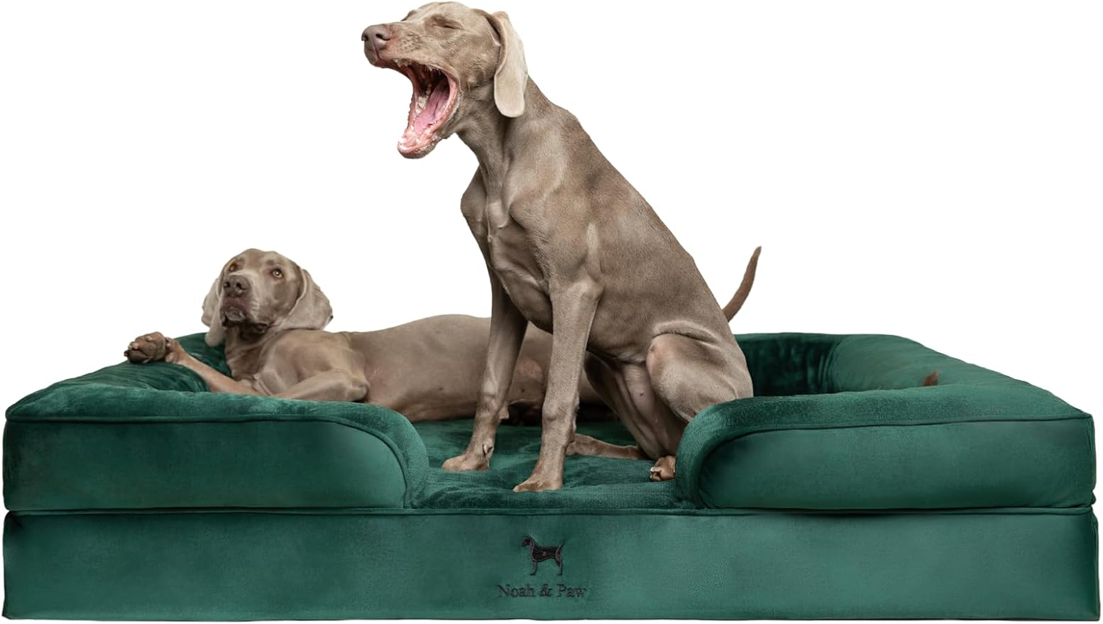 NOAH & PAW Giant Dog Bed XXL, 55x45x11 Inch, Orthopedic Dog Beds, Eggshell Memory Foam Infused with Cooling Gel, Inner Cover, Water Resistant, Machine Washable (Velvet Sofa Collection) by NoahPaw