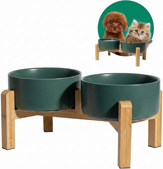 Elevated Ceramic Dog Bowl, 2 Cups Dog Food and Water Bowl Set with Stand | 5.1'' Double Dog Feeding Dishes, Non-Slip Raised Dog Feeder for Cats and Puppies, 16.23 OZ / 480 ML, White by PTOBER