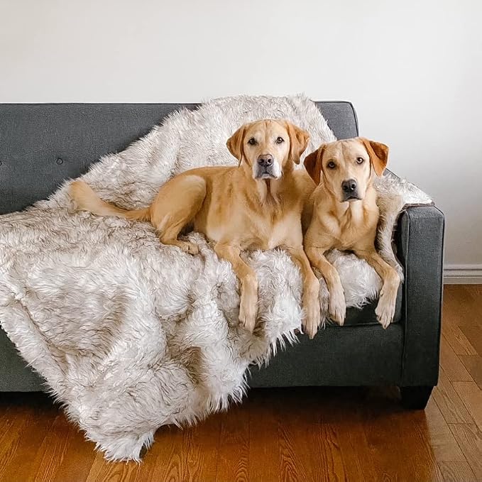PupProtector Waterproof Throw Blanket for Dogs and Cats, Pet Blanket Cover for Couches, Sofas, Beds, Car Seats, Furniture, Calming Soft Faux Fur, White with Brown Accents, Large (80" L x 62" W) - Image 7