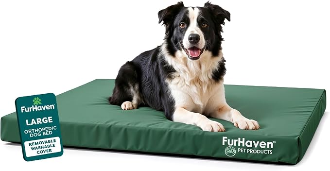 Furhaven Water-Resistant Orthopedic Dog Bed for Large/Medium Dogs w/ Removable Washable Cover, For Dogs Up to 55 lbs - Indoor/Outdoor Logo Print Oxford Polycanvas Mattress - Forest, Large by FurHaven