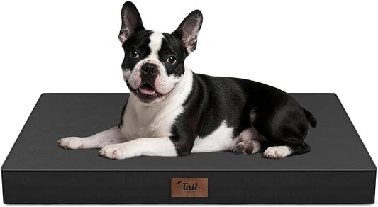Orthopedic Waterproof Dog Bed for Small Dogs and Cats | Egg Crate Foam for Joint Support, Fits 30x19 Crates, TPU Waterproof Layer, Machine Washable 1680D Oxford Cover, Up to 30 lbs by TailStories