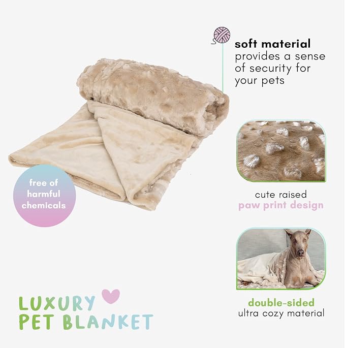 Petique The Velvet Blanky Pet Blanket, Super Soft Cat and Dog Blanket, Double Sided Plush Polyester, Cute Paw Print Design, Reversible, Machine Washable, Large Fleece Kitten and Puppy Blanket - Image 5