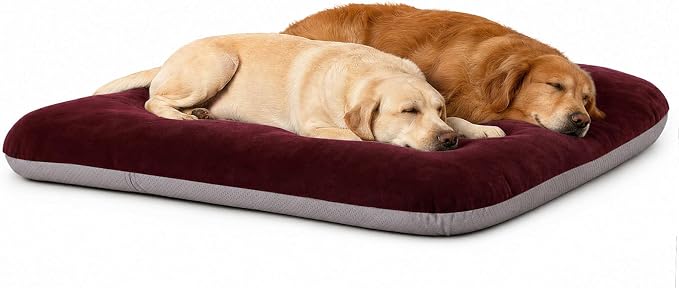 Magic Dog Super Soft Extra Large Dog Bed, 47 Inches Jumbo Orthopedic Foam Pet Beds with Anti Slip Bottom, Dog Sleeping Mattress with Removable and Washable Cover, Burgundy XL by MagicDog