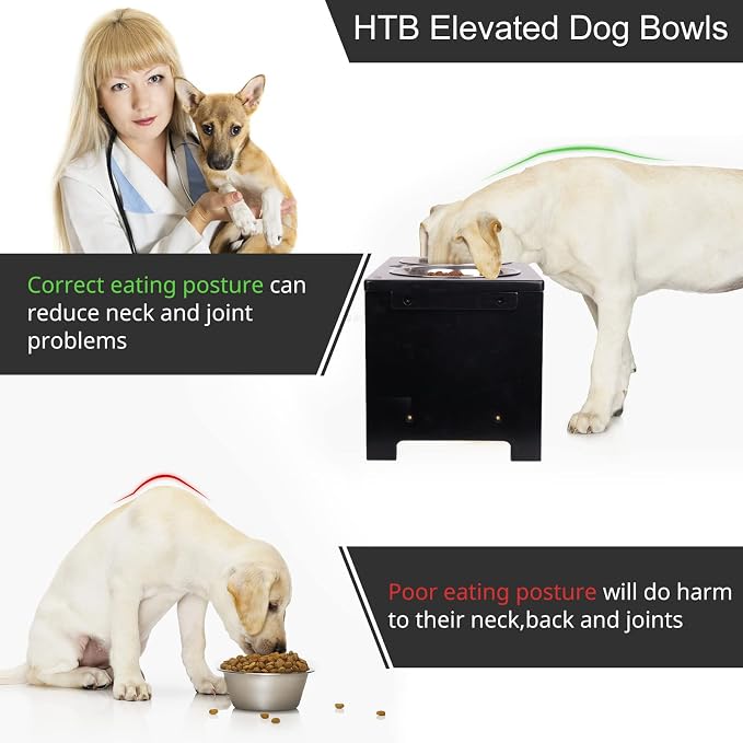 HTB Elevated Dog Bowl Stand with 2 Stainless Steel Bowls-10 H Large Black | Raised Dog Bowl Stand, 10"tall, 48 Oz Bowls, for Large Sized Dogs, Pet-safe, Solid Bamboo - Image 6