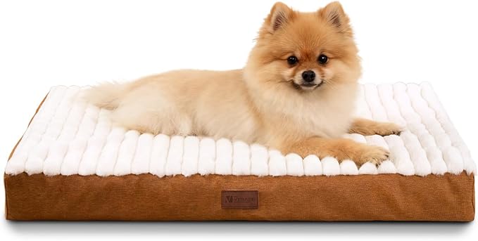 Orthopedic Dog Bed for Small Breeds, Firm Egg Crate Foam, Non-Slip Bottom | Machine Washable Cover, Short Plush Faux Fur Top, Pet Beds for Crate, Floor & Car, Up to 25 lbs, Brown, 23"L x 17"W x 3"H by VERABE