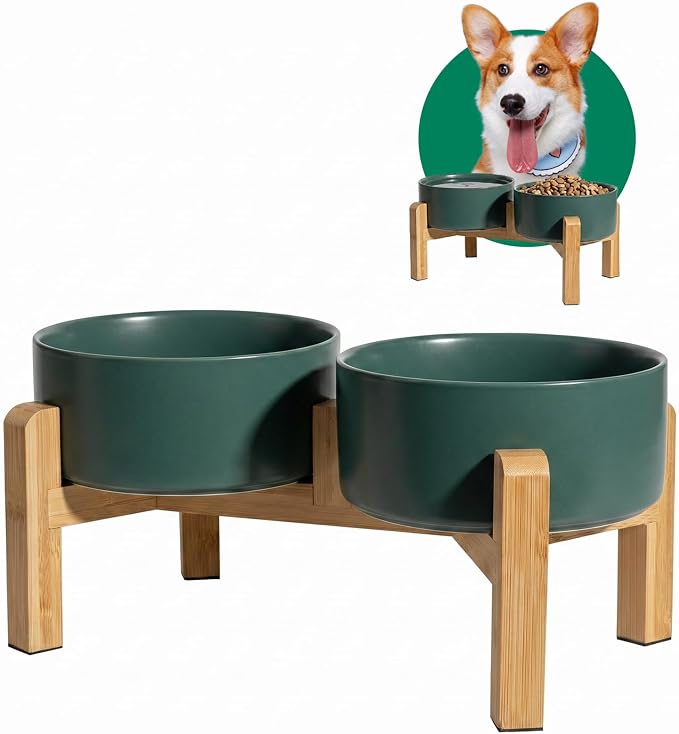 Elevated Ceramic Dog Bowl, 3.6 Cups Dog Food and Water Bowl Set with Stand | 6.1'' Double Dog Feeding Dishes, Non-Slip Raised Dog Feeder for Small and Medium Breeds, 28.74 OZ / 850 ML, White by PTOBER