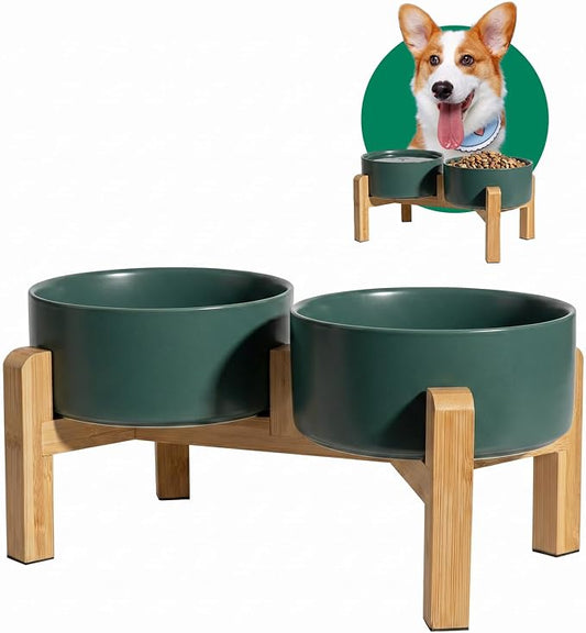 Elevated Ceramic Dog Bowl, 3.6 Cups Dog Food and Water Bowl Set with Stand | 6.1'' Double Dog Feeding Dishes, Non-Slip Raised Dog Feeder for Small and Medium Breeds, 28.74 OZ / 850 ML, White by PTOBER